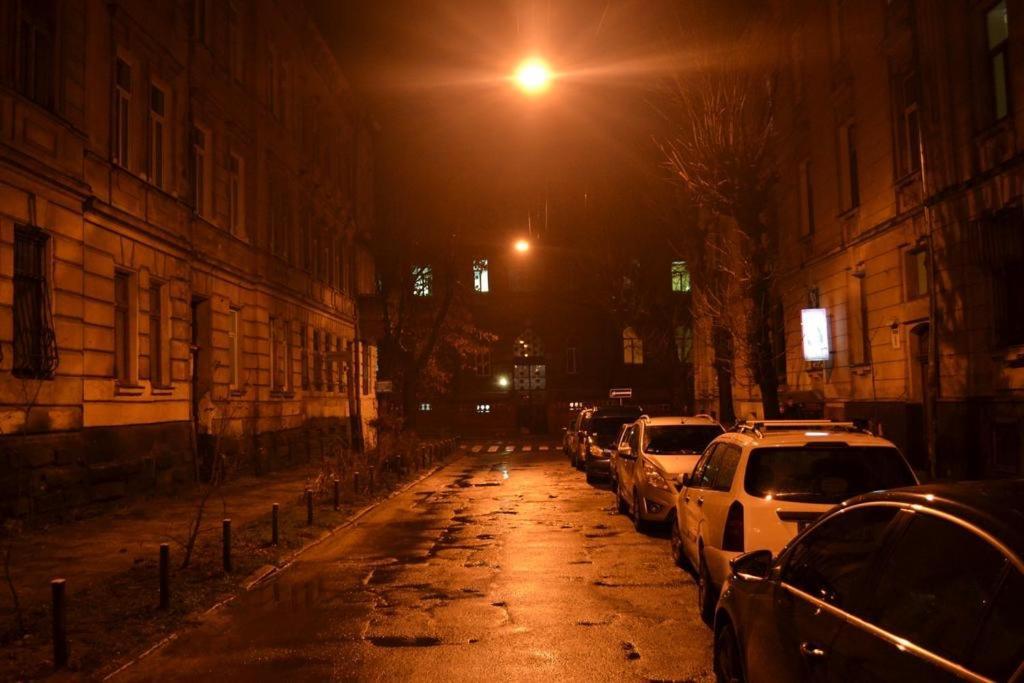 Cozy Apartment Lviv Dış mekan fotoğraf